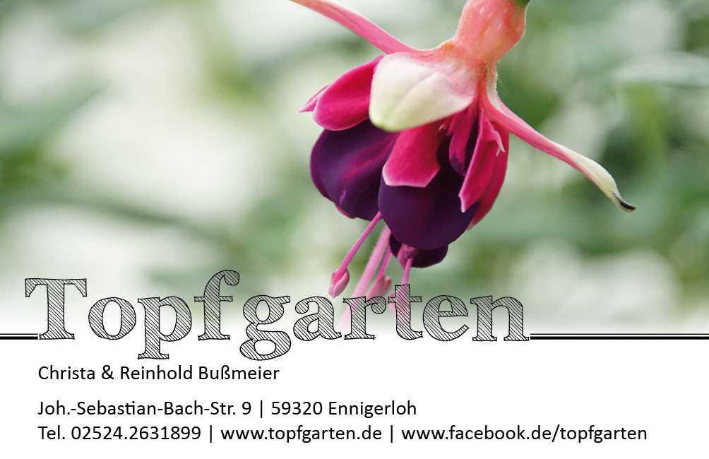 TOPFGARTEN: tropische + subtropische Kübelpflanzen