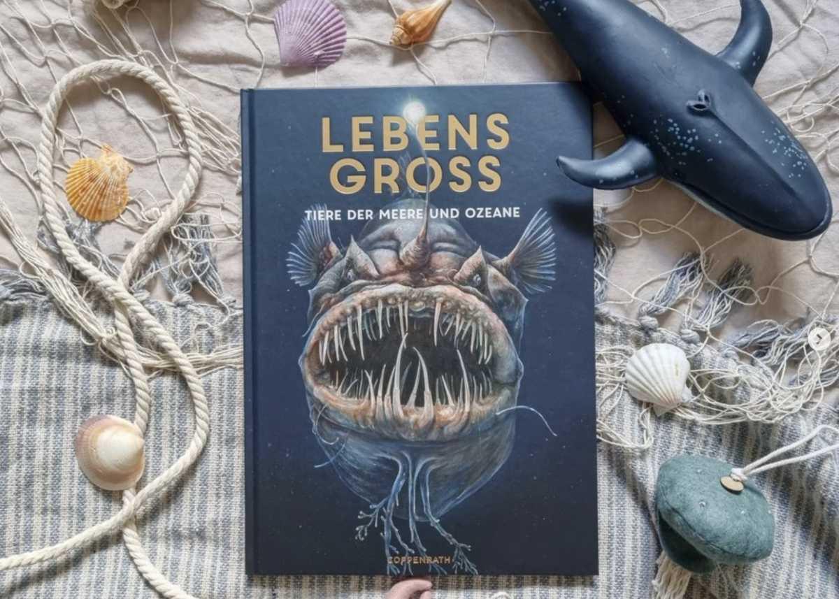 🐋🦑 Lebensgroß | Tiere der Meere und Ozeane 🦈🦀