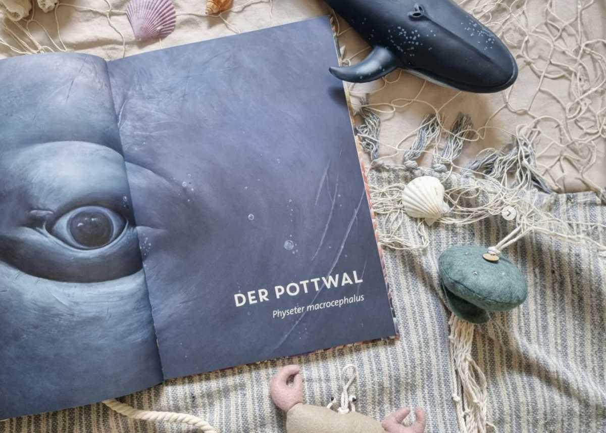 🐋🦑 Lebensgroß | Tiere der Meere und Ozeane 🦈🦀 🐋🦑 Lebensgroß | Tiere der Meere und Ozeane 🦈🦀