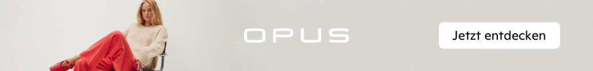 Simplicity: Erfolgsfirma hinter OPUS wächst und bildet aus Simplicity: Erfolgsfirma hinter OPUS wächst und bildet aus