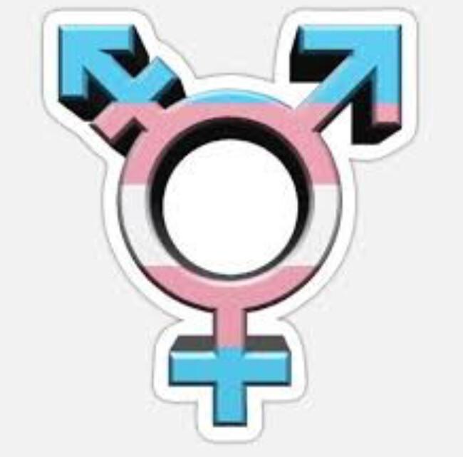 Transgender: Luc erzählt von seinem persönlichen Weg Transgender: Luc erzählt von seinem persönlichen Weg
