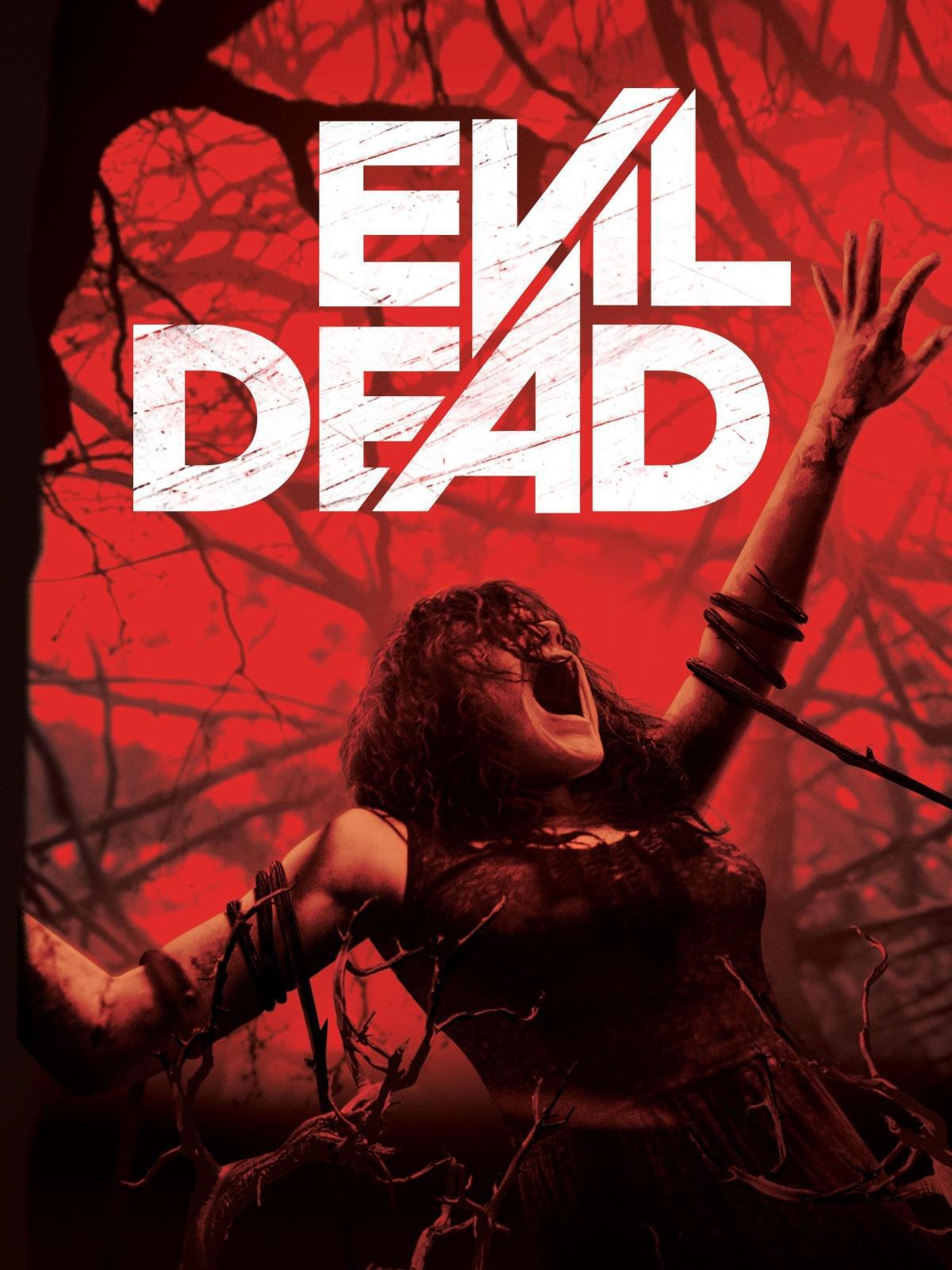 Evil Dead (2013) Evil Dead (2013)