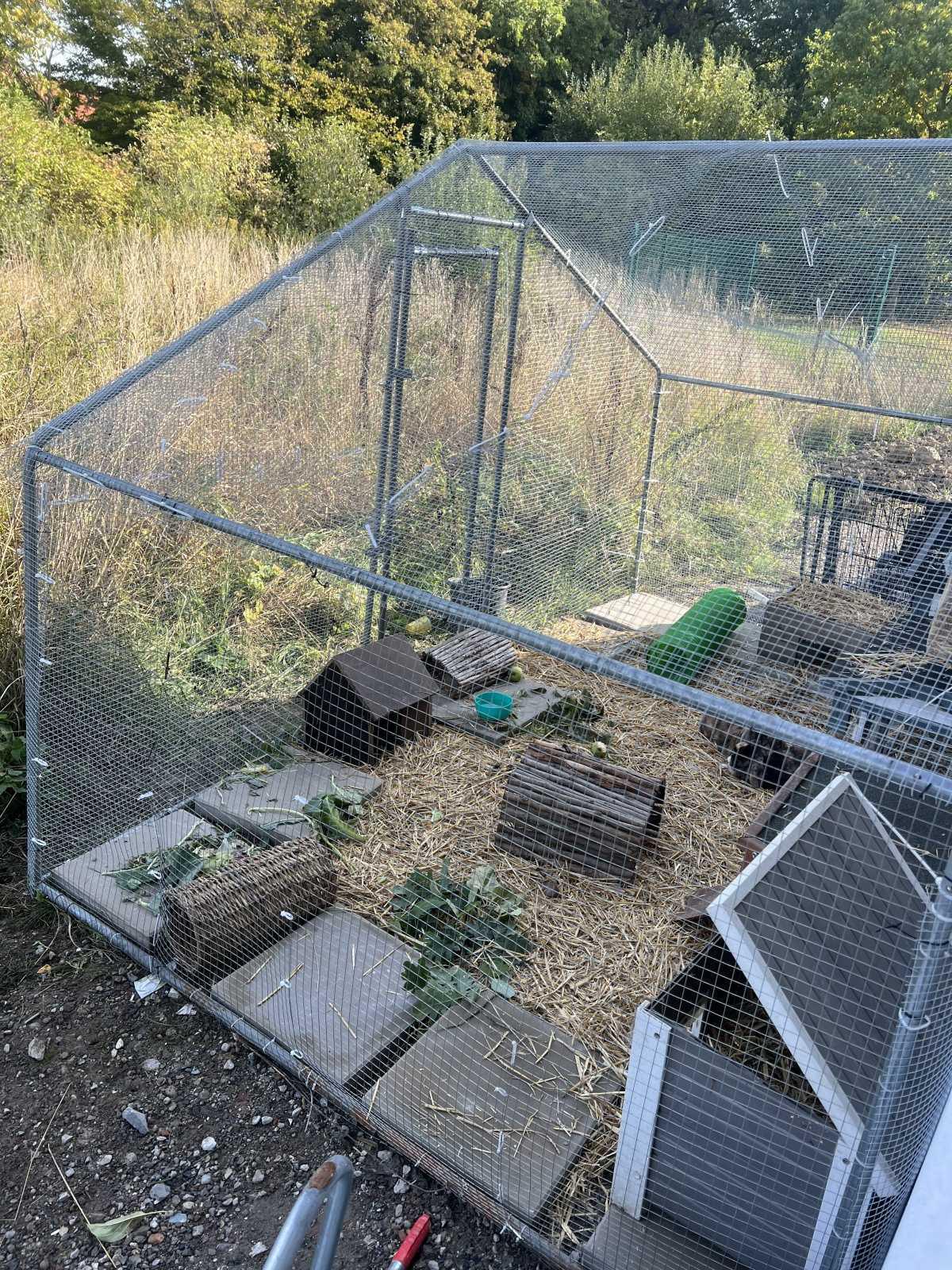 Neueröffnung: Willkommen in der Kindertagespflege Auenland 