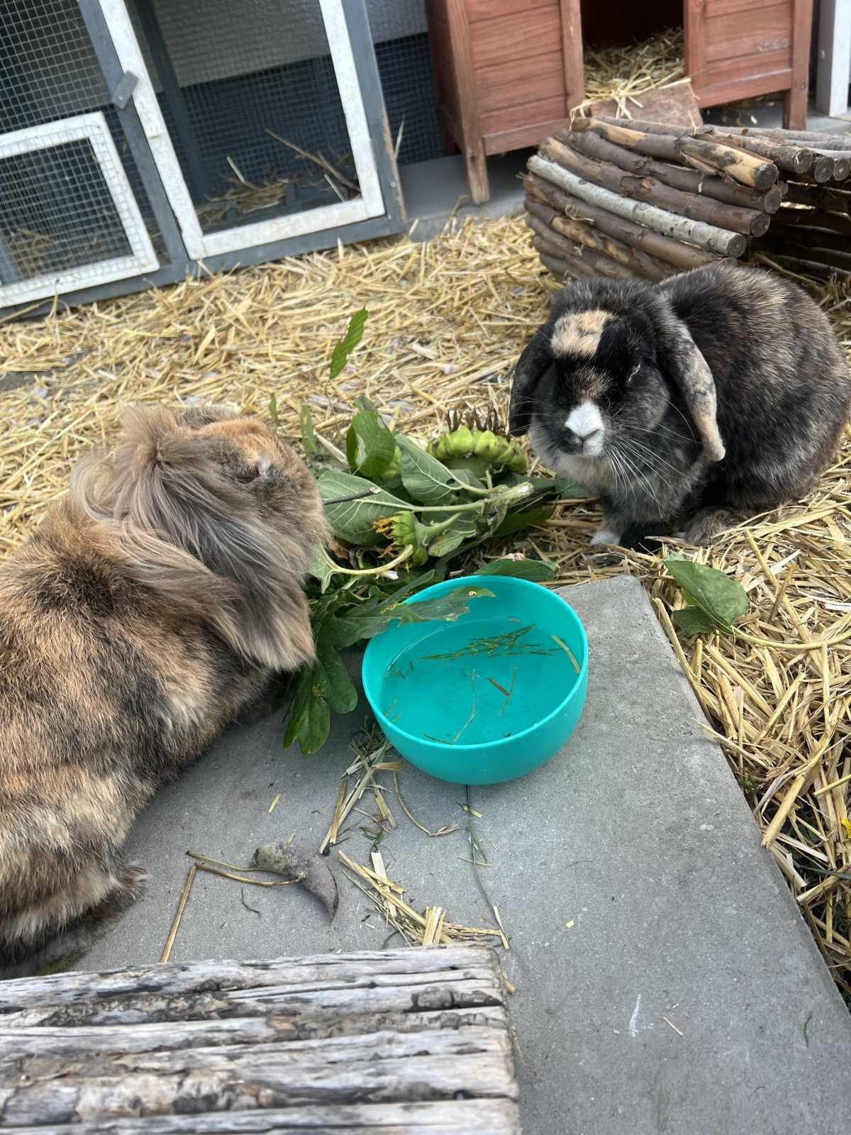 Neueröffnung: Willkommen in der Kindertagespflege Auenland 