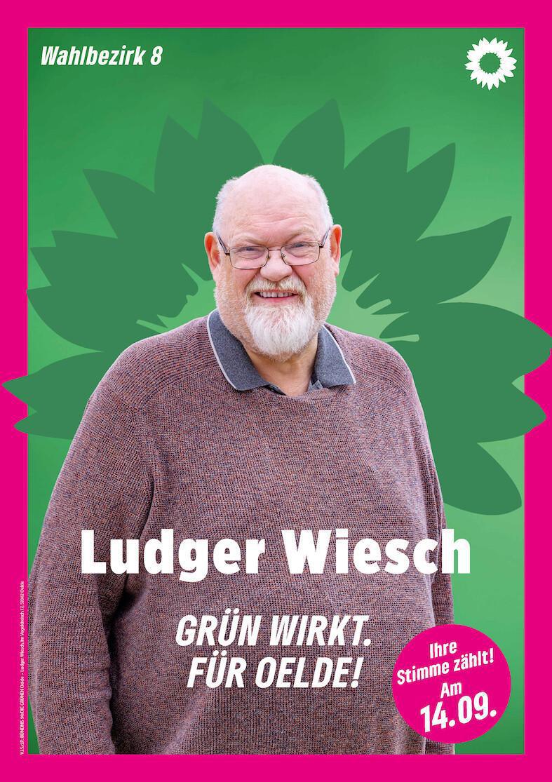 Ludger Wiesch - Ihr Kandidat für den WBZ 08