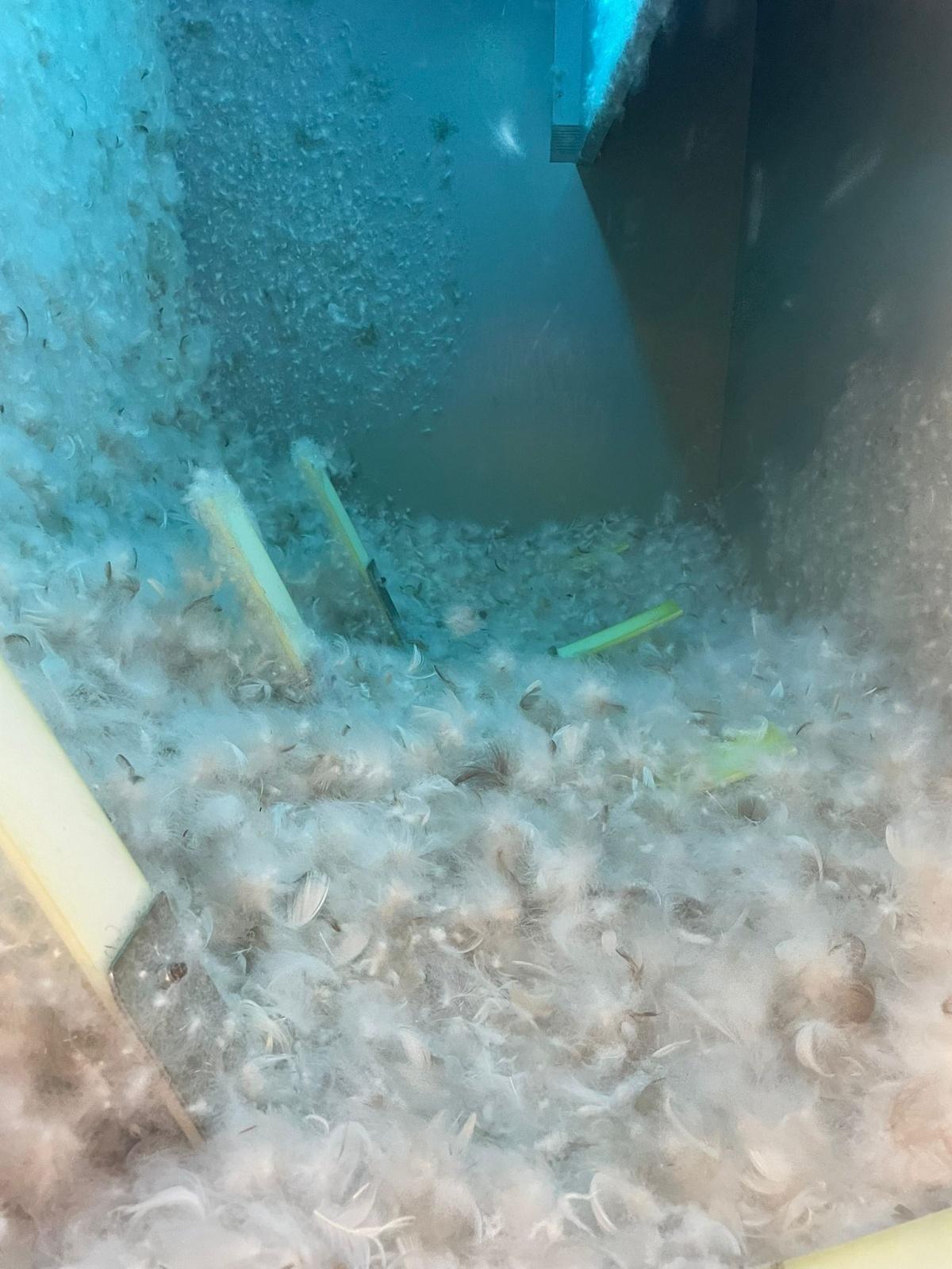 Frische Träume dank Profi-Reinigung – jetzt wieder bei Tippkemper in Oelde