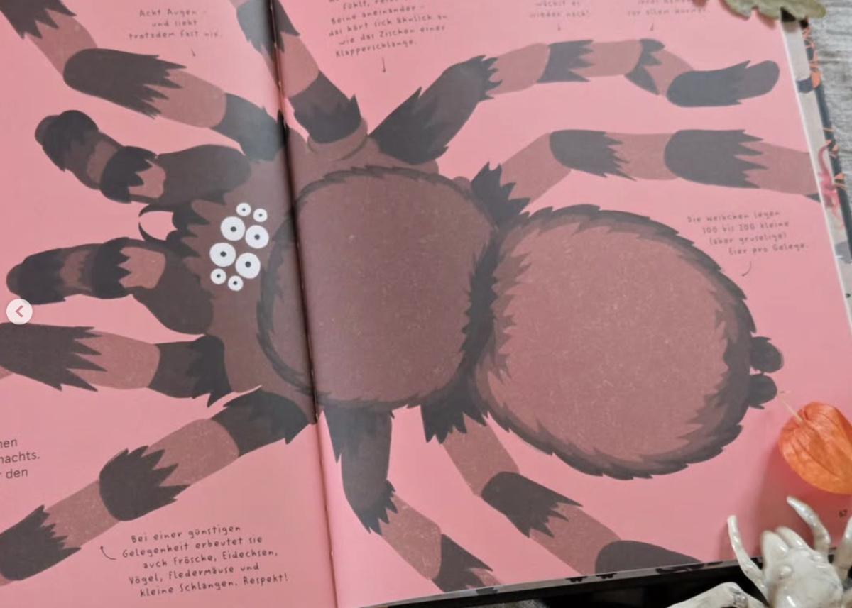 🕷🕸 Das Lexikon gruseliger Tiere 🐍🦂