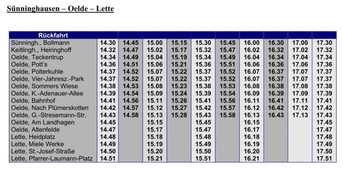 Karnevalsumzug | Sünninghausen