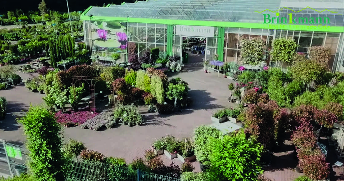 Florist (m/w/d) gesucht Florist (m/w/d) gesucht