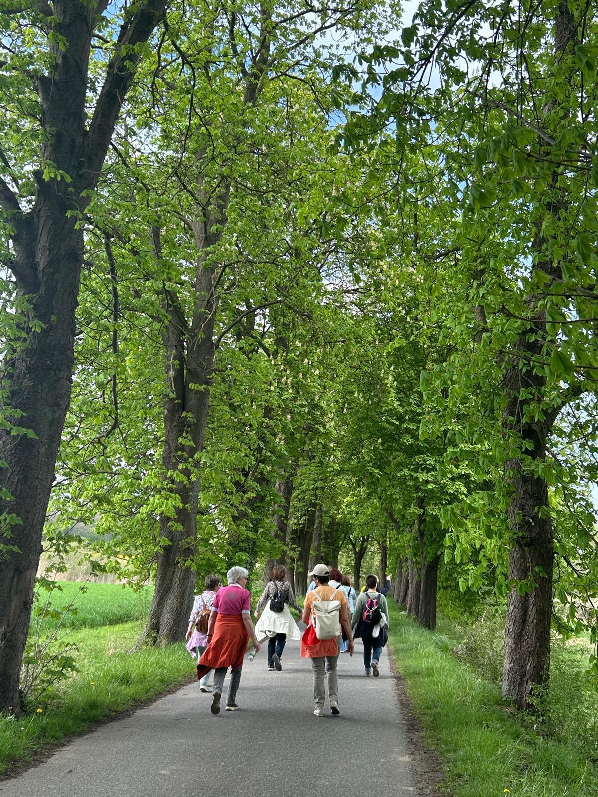 Stromberger Landfrauen - Frühlingswanderung Stromberger Landfrauen - Frühlingswanderung