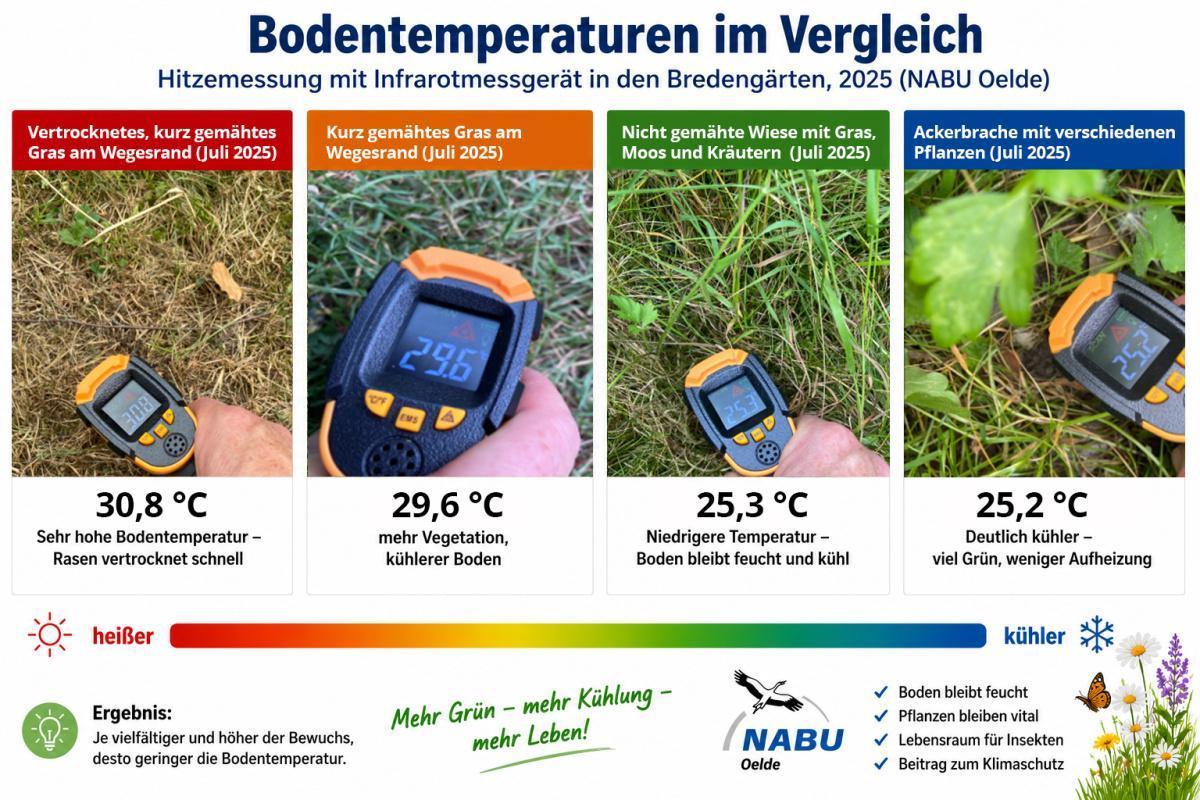 NABU Oelde: Blühwiesen bleiben kühler als gemähter Rasen