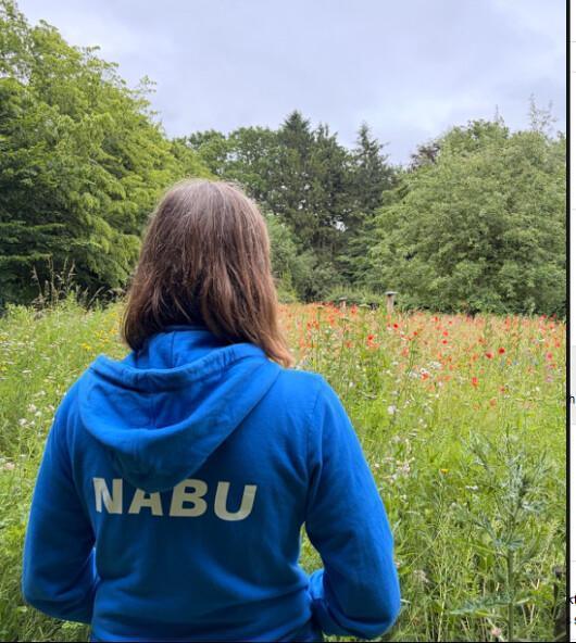 NABU Oelde: Blühwiesen bleiben kühler als gemähter Rasen