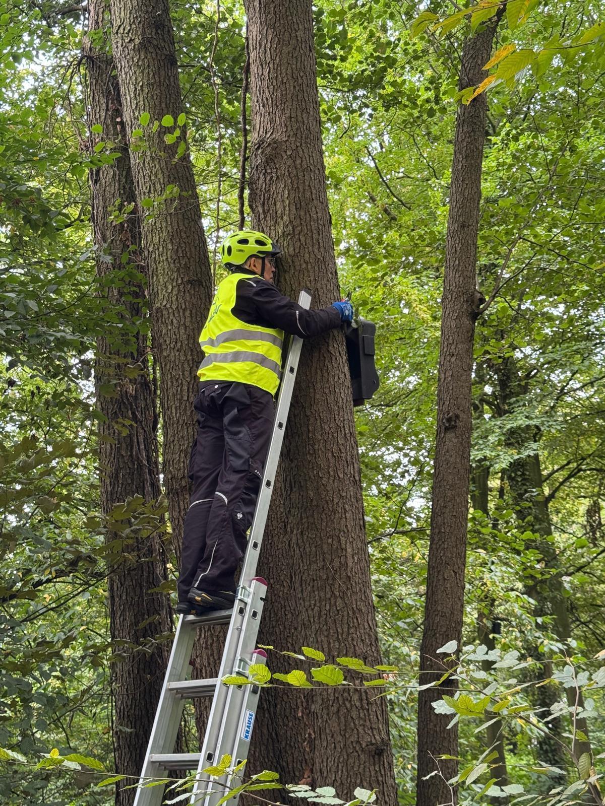 NABU Oelde stellt kostenlos zehn Fledermauskästen