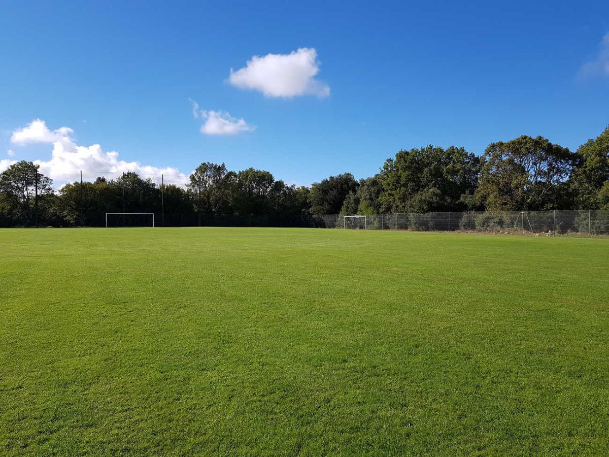 Stade engazonné