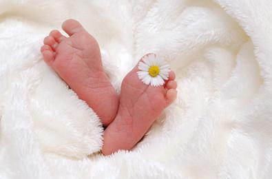 Primes de naissance ou adoption