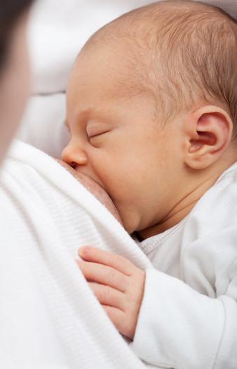 La période d’allaitement La période d’allaitement