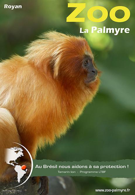 ZOO DE LA PALMYRE