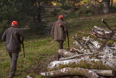 Chasse