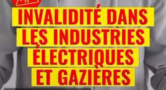 Qu'est-ce que l'invalidité dans les IEG ?