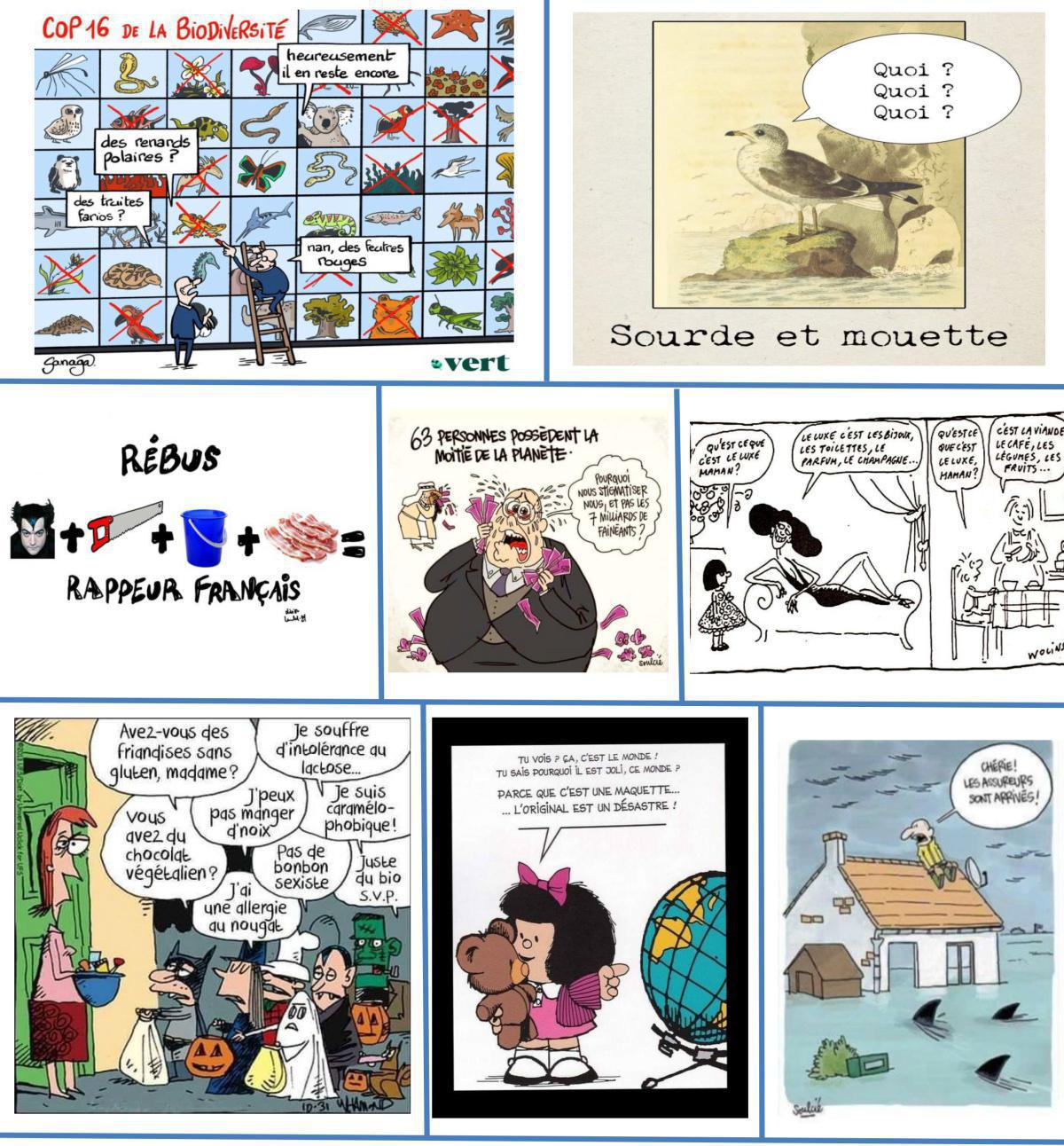 Le lundi c'est Permis !