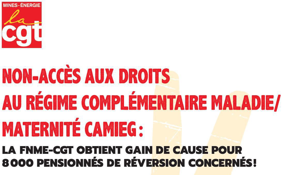 CAMIEG : La FNME-CGT obtient gain de cause pour les 8000 pensionné-es de réversion CAMIEG : La FNME-CGT obtient gain de cause pour les 8000 pensionné-es de réversion