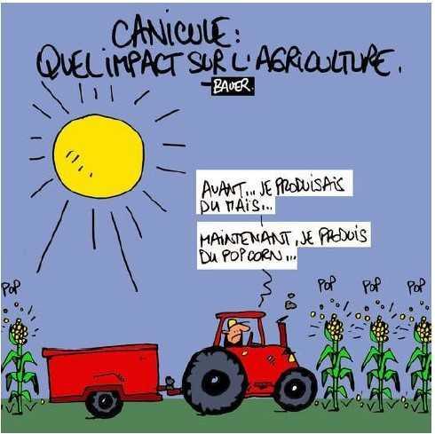 Le lundi c'est permis ! 