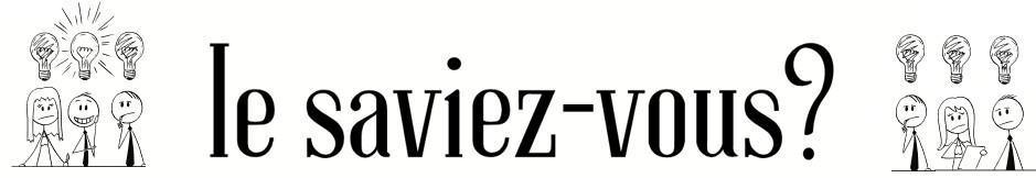 RAPIDO Février 2026! RAPIDO Février 2026!