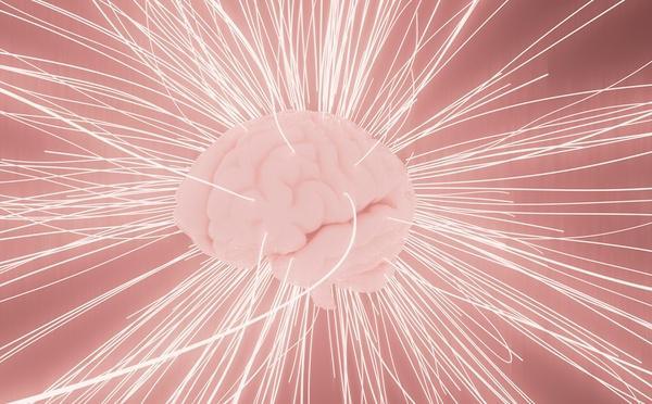 Un nouveau modèle de langage d'IA qui imite l'organisation du cerveau