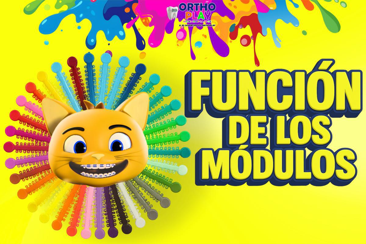FUNCIÓN DE MÓDULOS FUNCIÓN DE MÓDULOS