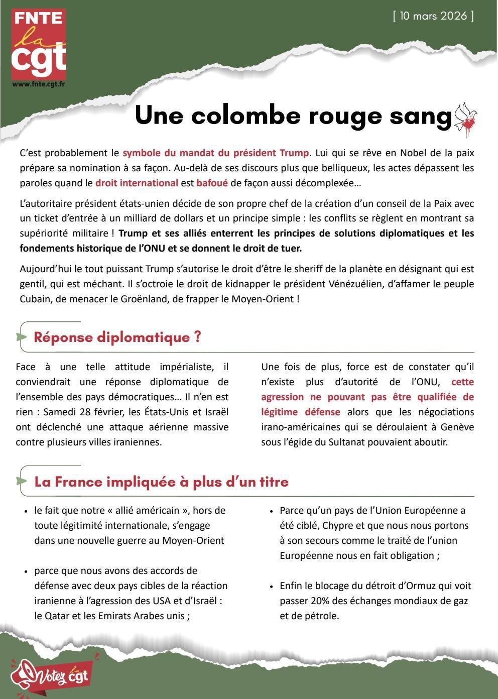 🕊️Une colombe rouge sang🕊️