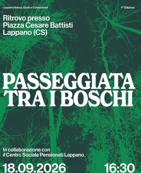 Passeggiata Tra i Boschi (inizio ore 16.30)