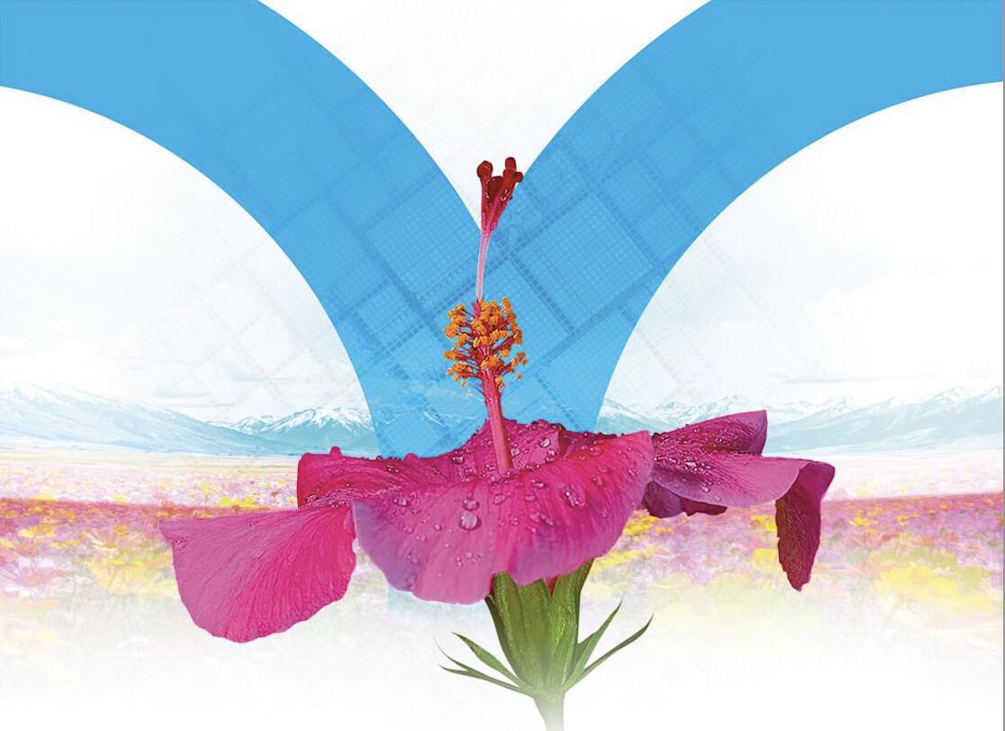 Concurso de fotografia Tema: Flores