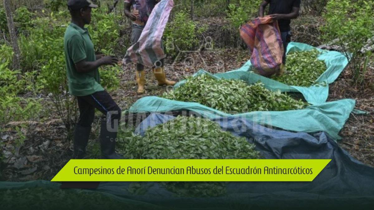 Campesinos de Anorí Denuncian Abusos del Escuadrón Antinarcóticos Campesinos de Anorí Denuncian Abusos del Escuadrón Antinarcóticos
