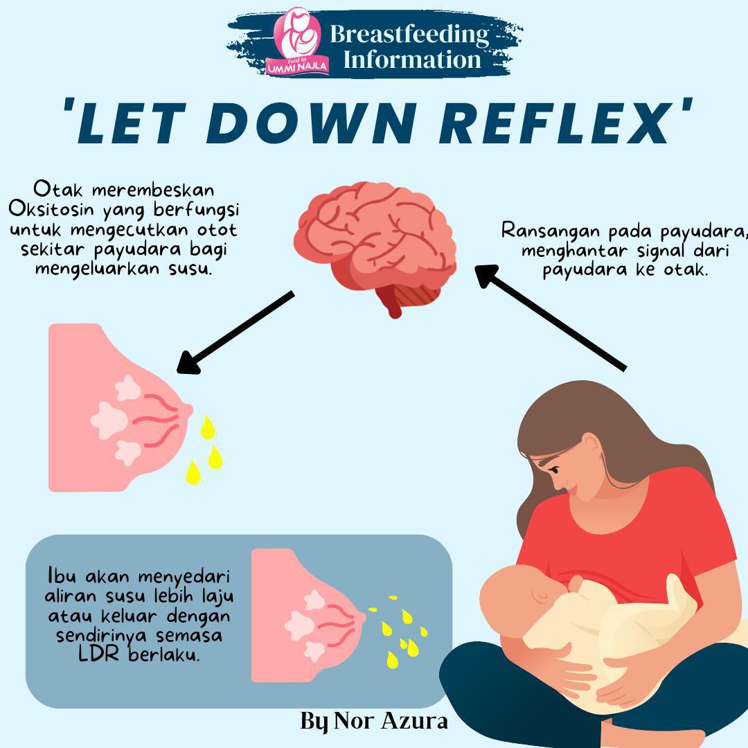 APA ITU LET DOWN REFLEX?