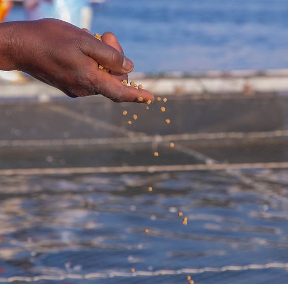 AquaRech ~aquaculture experts