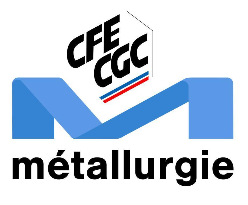 La fédération de la Métallurgie CFE-CGC change de look en ce début d’année 2024 La fédération de la Métallurgie CFE-CGC change de look en ce début d’année 2024