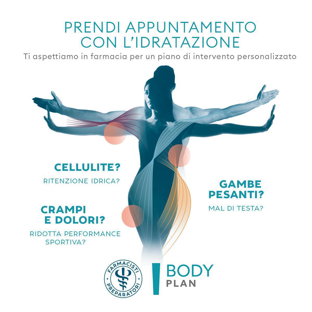 Bodyplan Bodyplan