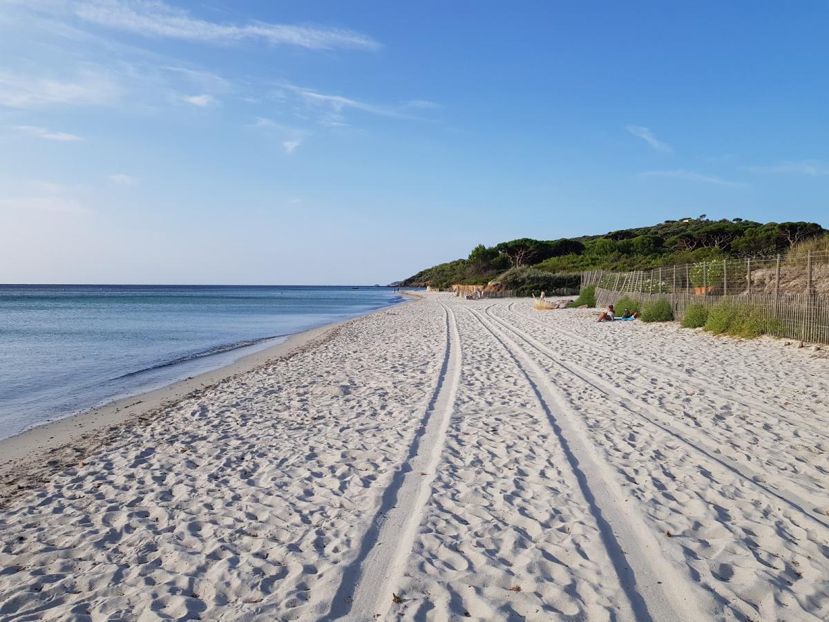 Plage des Salins