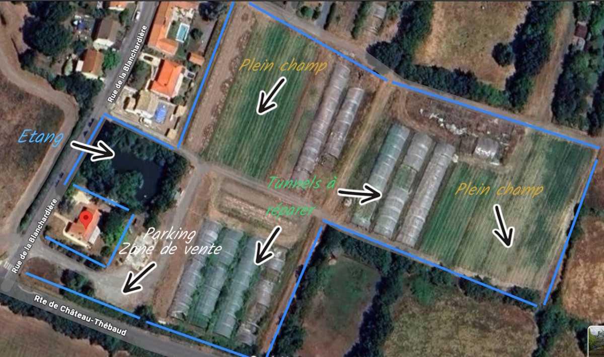 Un coup de pouce pour Saskia et son projet agricole 🌱 Un coup de pouce pour Saskia et son projet agricole 🌱