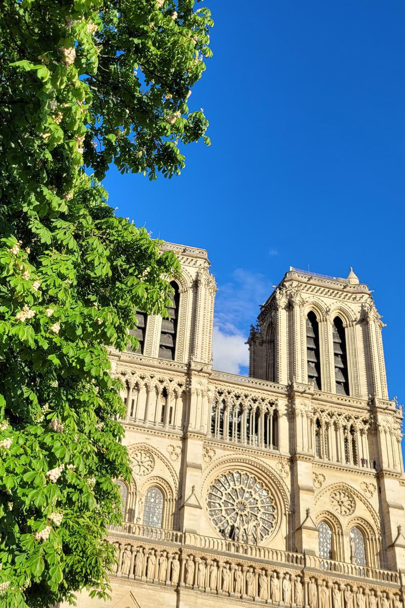 Iglesias de Paris y Jardin de Luxemburgo