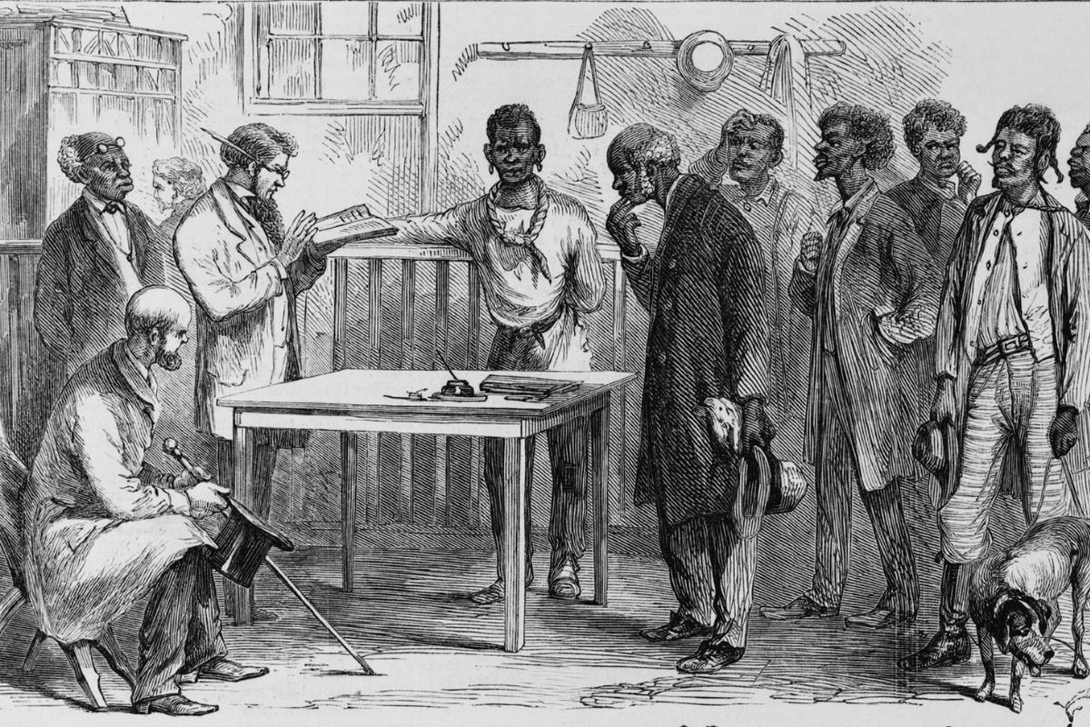 Introduzione al Corso sull'Acido Bempedoico: Alla Scoperta di una Soluzione Innovativa per il Controllo del Colesterolo Alto Introduzione al Corso sull'Acido Bempedoico: Alla Scoperta di una Soluzione Innovativa per il Controllo del Colesterolo Alto