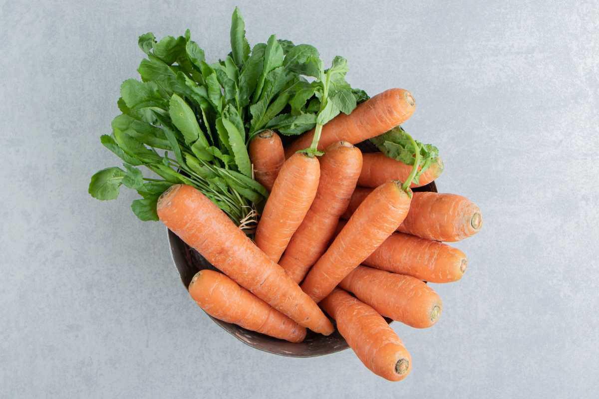🥕 How to store root vegetables properly: simple tips to keep your potatoes, carrots & co. looking good for longer