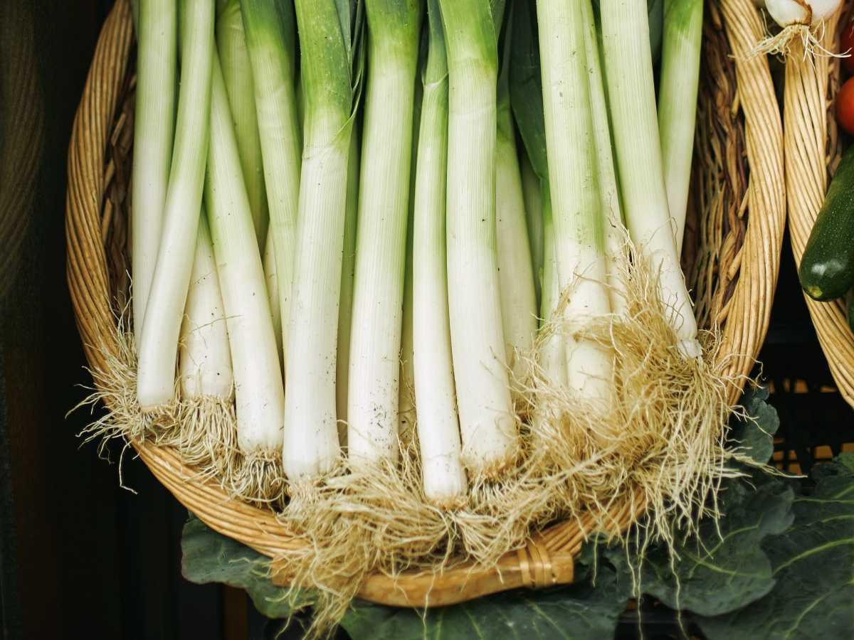 🥕 Buy them once... grow them forever: 7 vegetables that can be grown over and over again