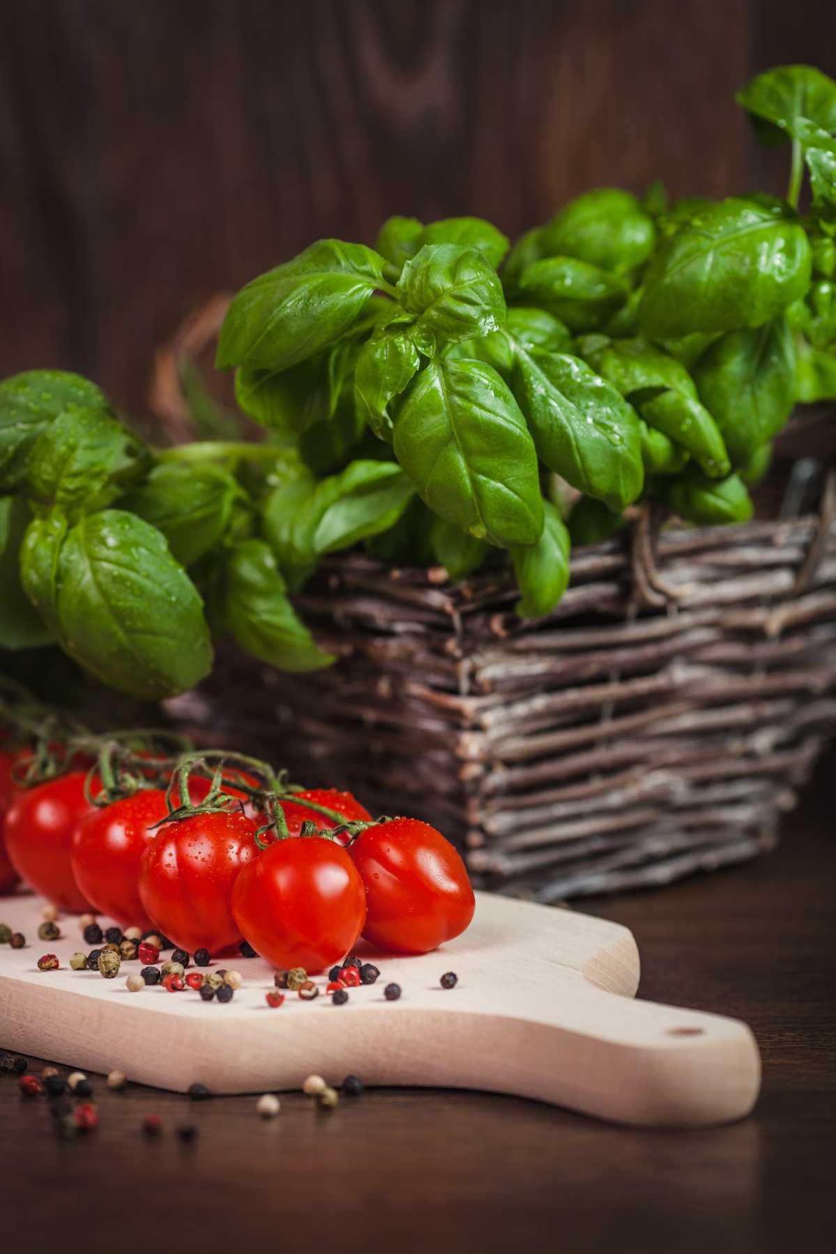 🌿 Les 7 erreurs à éviter pour réussir son basilic en pot