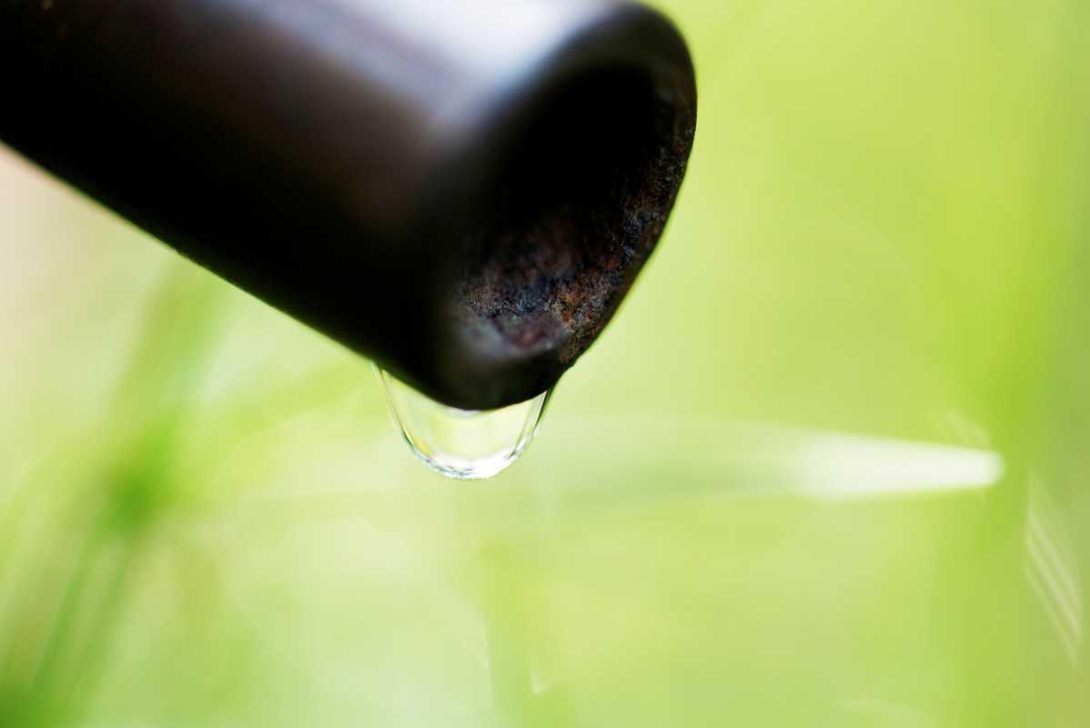 💧 L’irrigation goutte à goutte ultra-simple : un système maison pour économiser l’eau et chouchouter vos plantes