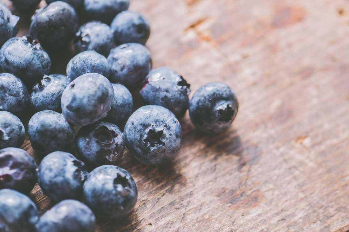 Peut-on vraiment faire repousser les myrtilles indéfiniment? La réponse va vous surprendre.