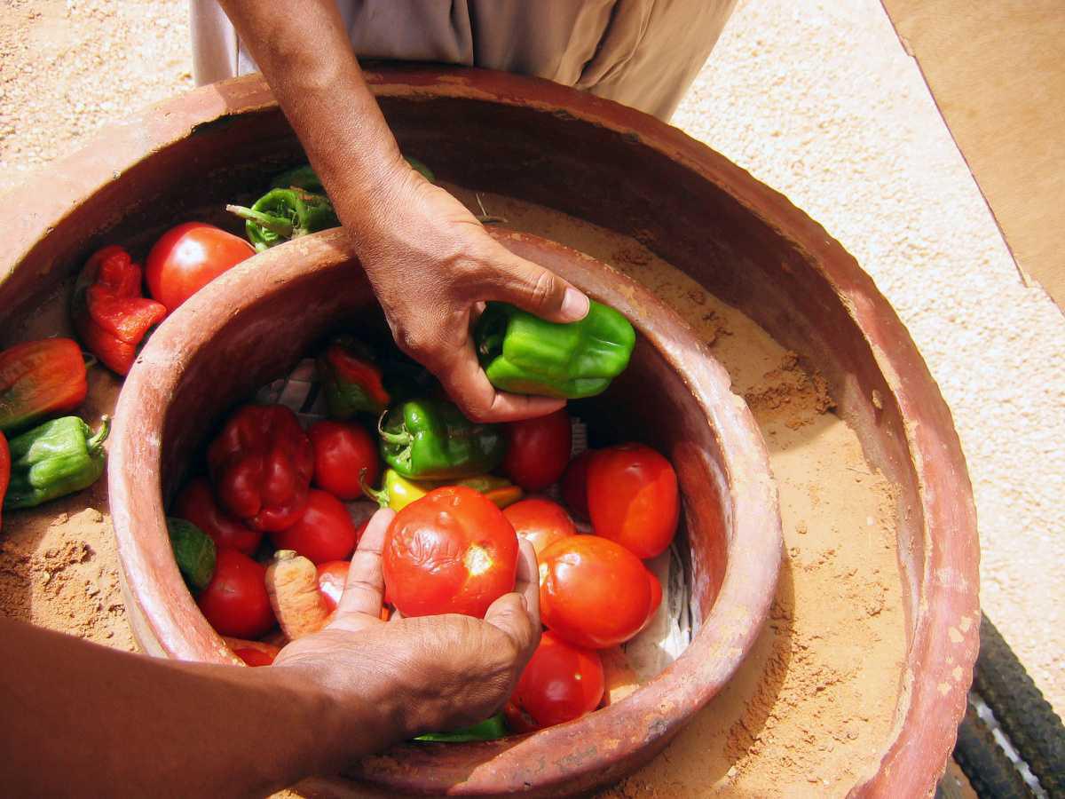 🌿 Le pot Zeer : l’ingéniosité ancestrale d’un frigo sans électricité