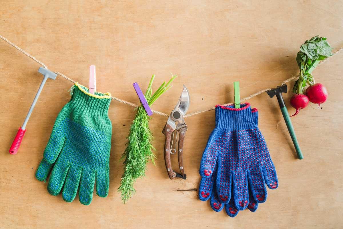 Gants de jardinage : 9 astuces pour éviter les mauvaises surprises