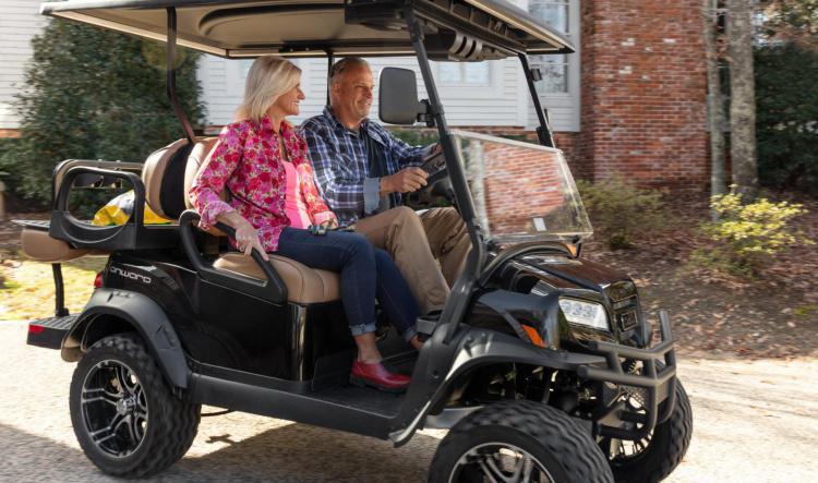 City of Lapeer Golf Car Ordinance