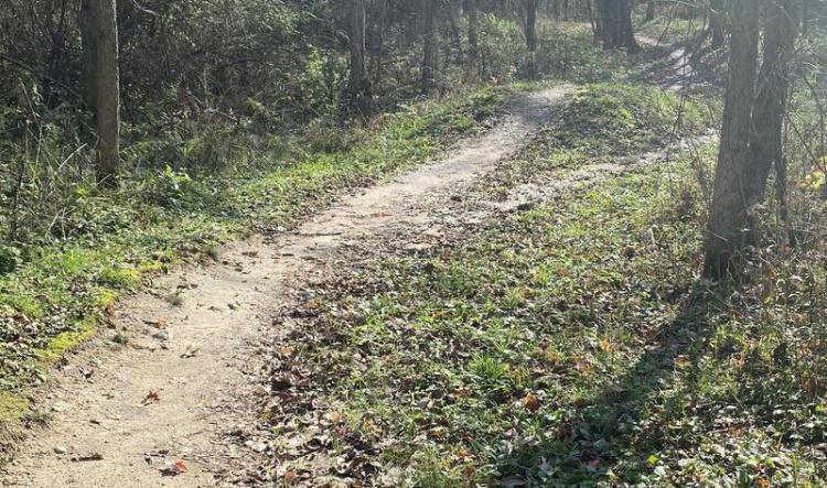 Check out Oakdale Trails